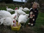KaiLey and Ooh Ooh Feeding the Turkeys Fall '09